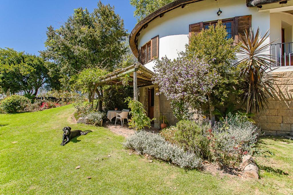 Picardie Guest Farm Paarl Buitenkant foto