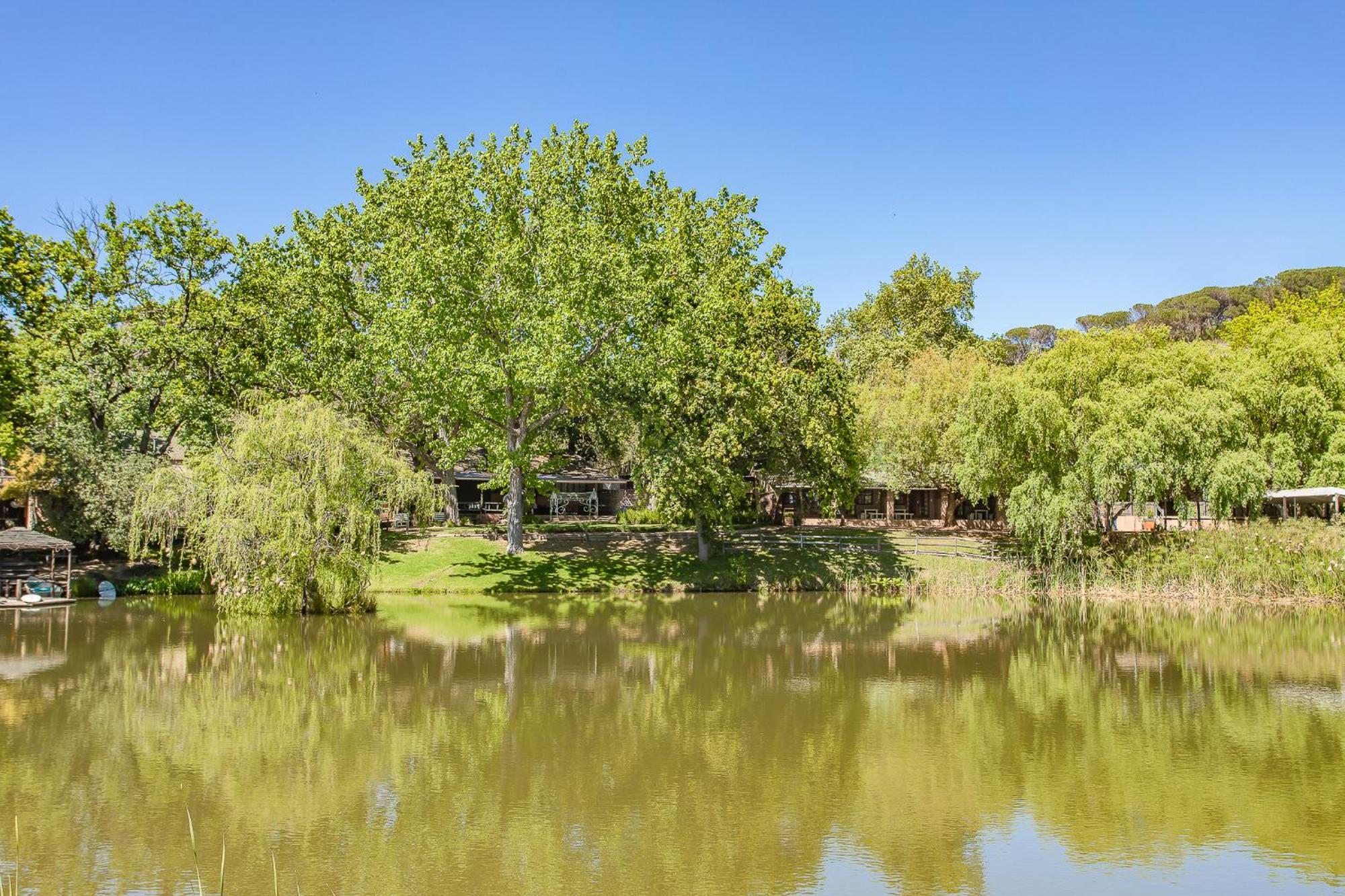 Picardie Guest Farm Paarl Buitenkant foto